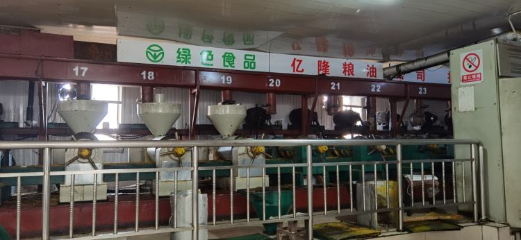 1619321117590167.jpg coRehomZ_1618229828768.jpg